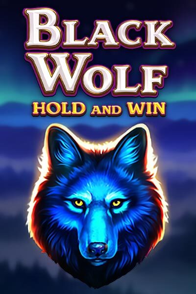win11